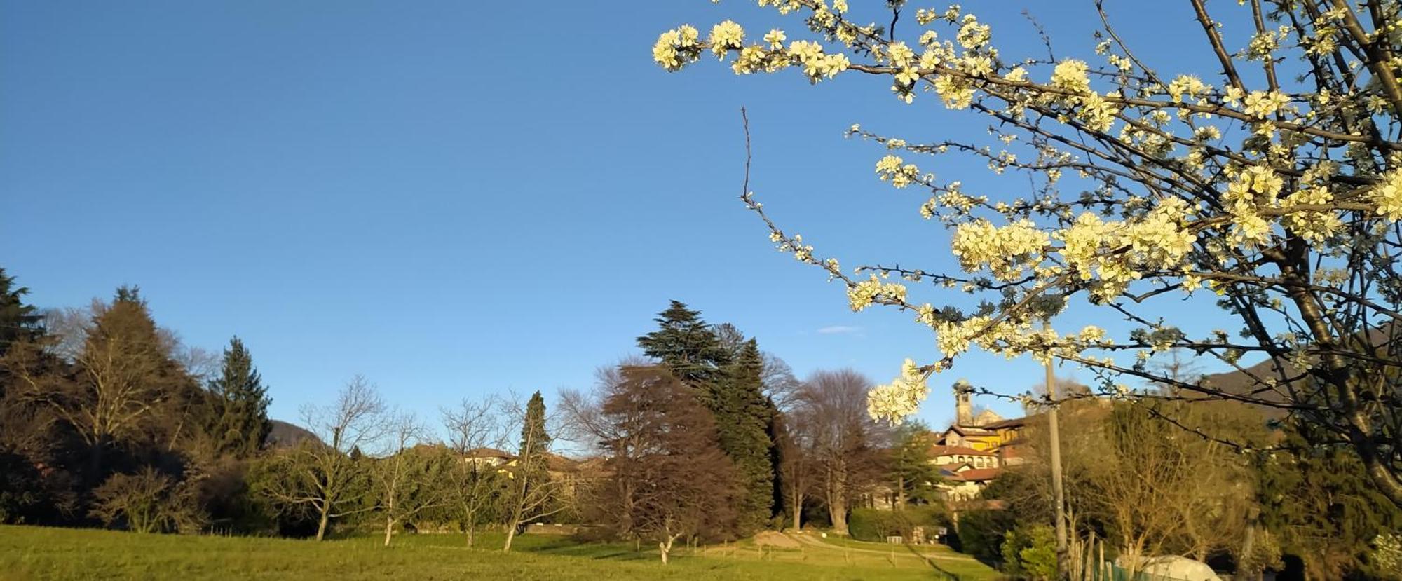 Casale Del Cantico Brenta ภายนอก รูปภาพ
