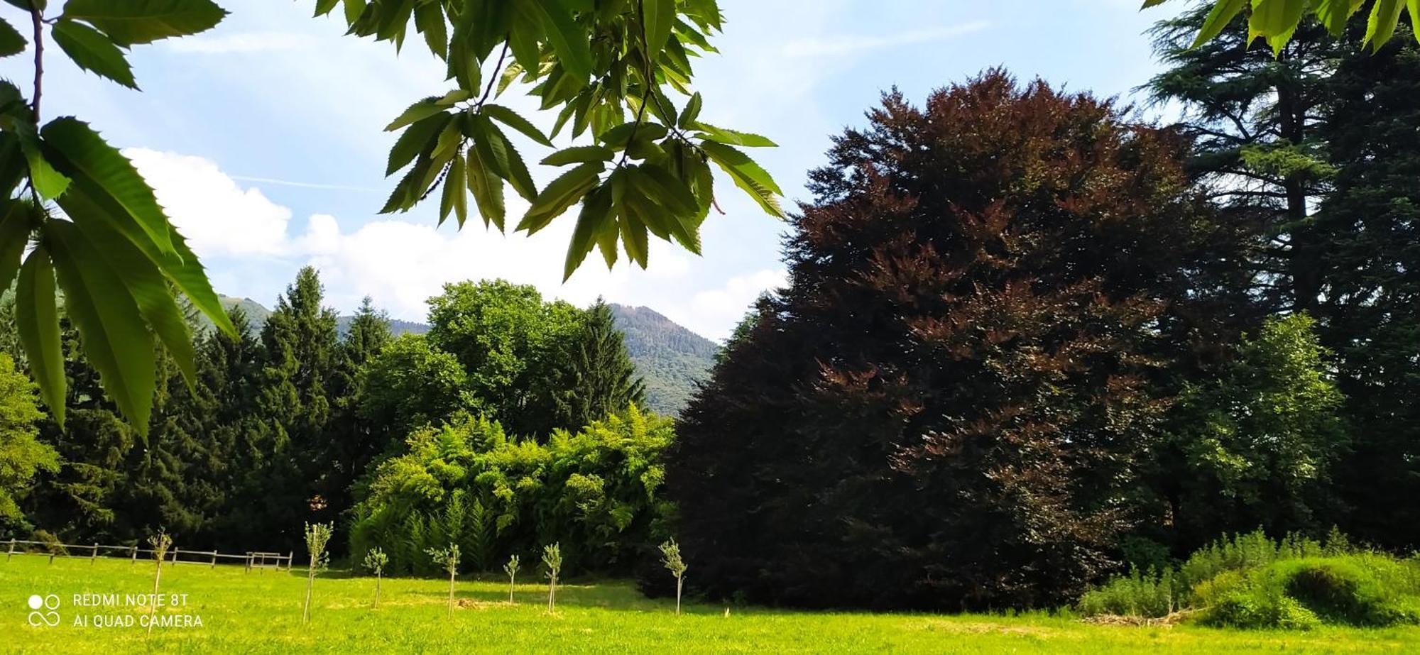 Casale Del Cantico Brenta ภายนอก รูปภาพ