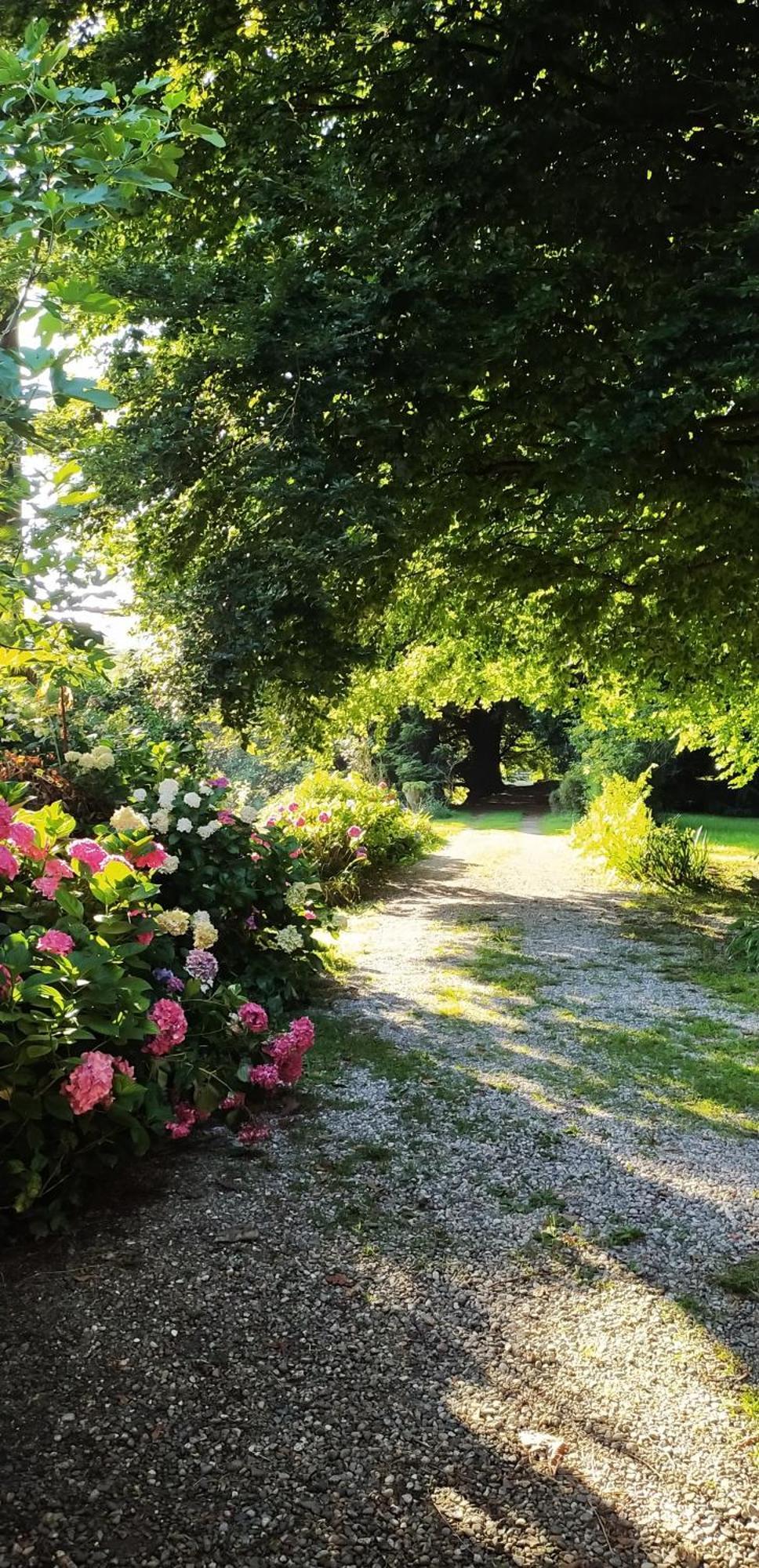 Casale Del Cantico Brenta ภายนอก รูปภาพ